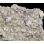 Fluorite on Calcite  Yanci M02584